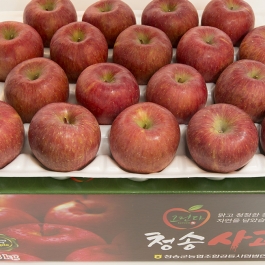 못난이 사과 8kg (36내)