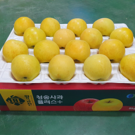 청송 진 황금사과 10kg (32과 이내)