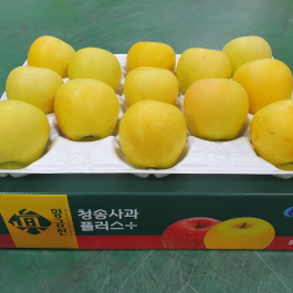 청송 진 황금사과 10kg (26과 이내)