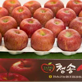 그린다 청송사과 부사 5kg (13내)