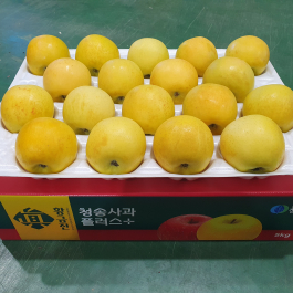 청송 진 황금사과 5kg (19과 이내)