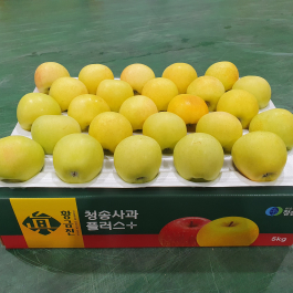 청송 진 황금사과 5kg (25과 이내)