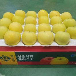 청송 진 황금사과 10kg (44과 이내)