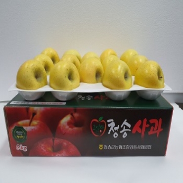 그린다 황금사과 5kg (13내)
