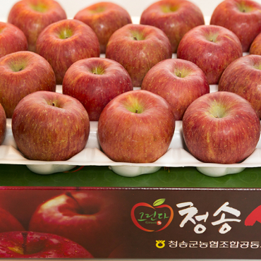 그린다 청송사과 부사 5kg (13내)