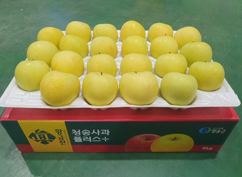 청송 진 황금사과 10kg (44과 이내)