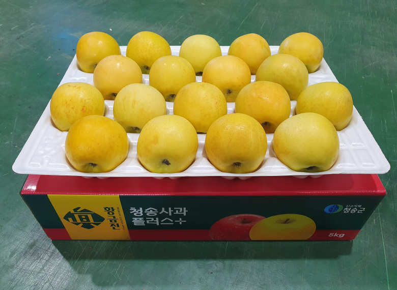청송 진 황금사과 10kg (38과 이내)