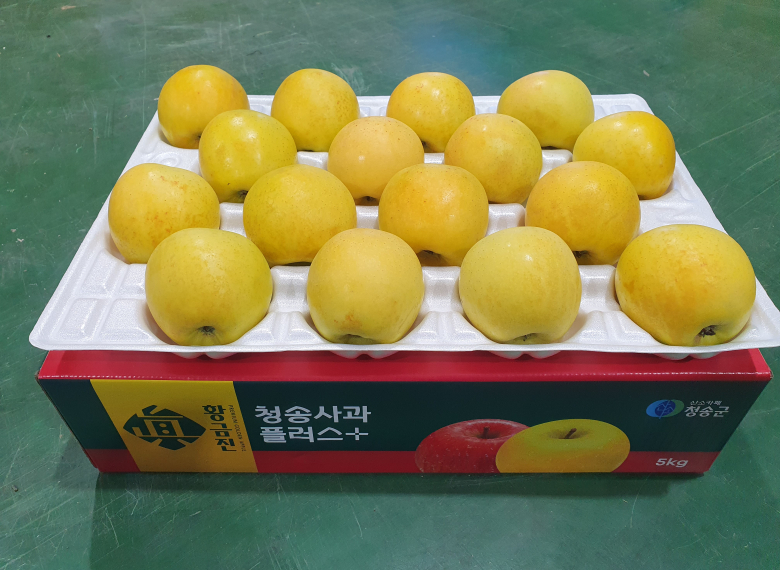 청송 진 황금사과 10kg (32과 이내)